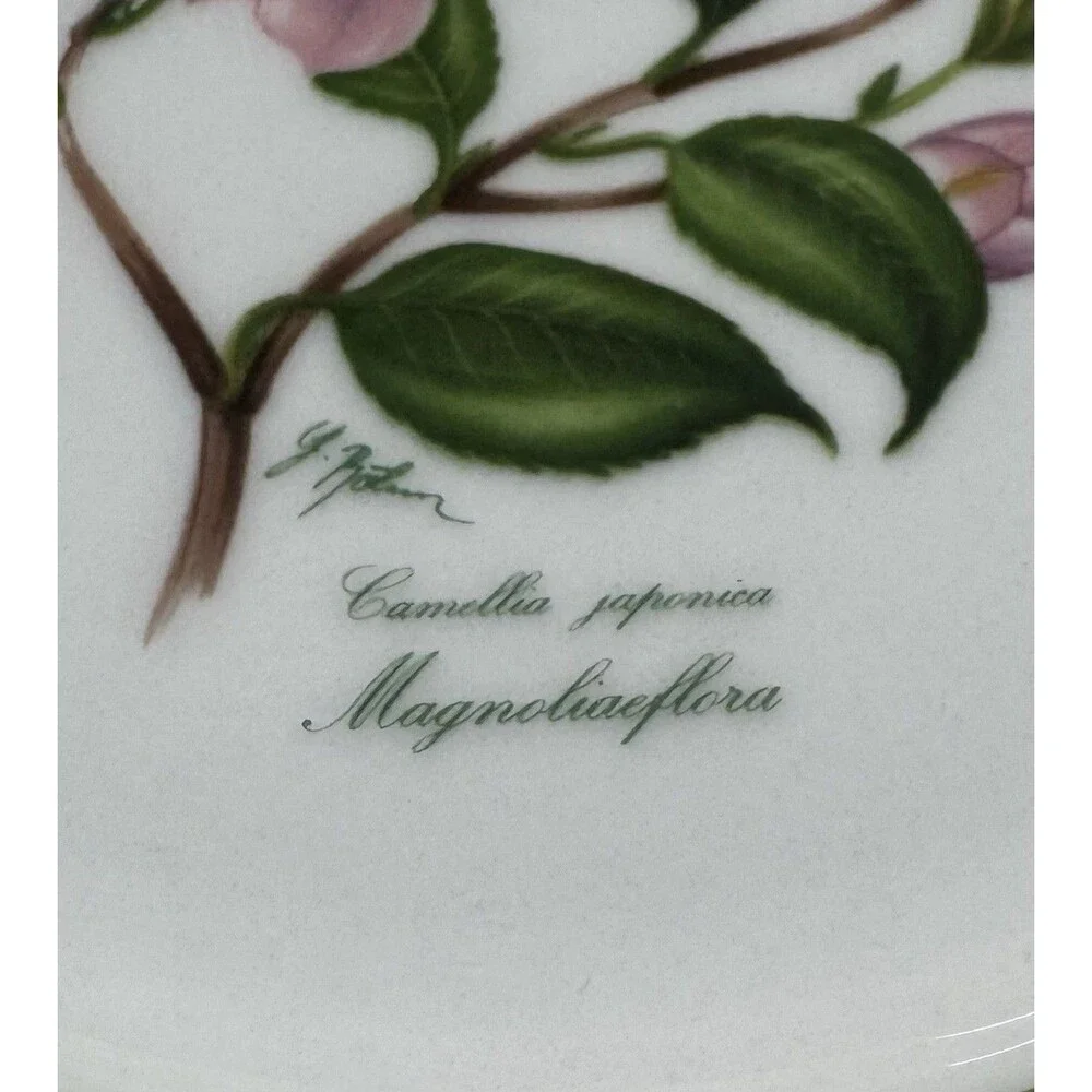 2 JWK Bavaria Western Germany Camellia Japonica Magnolia floral Plates